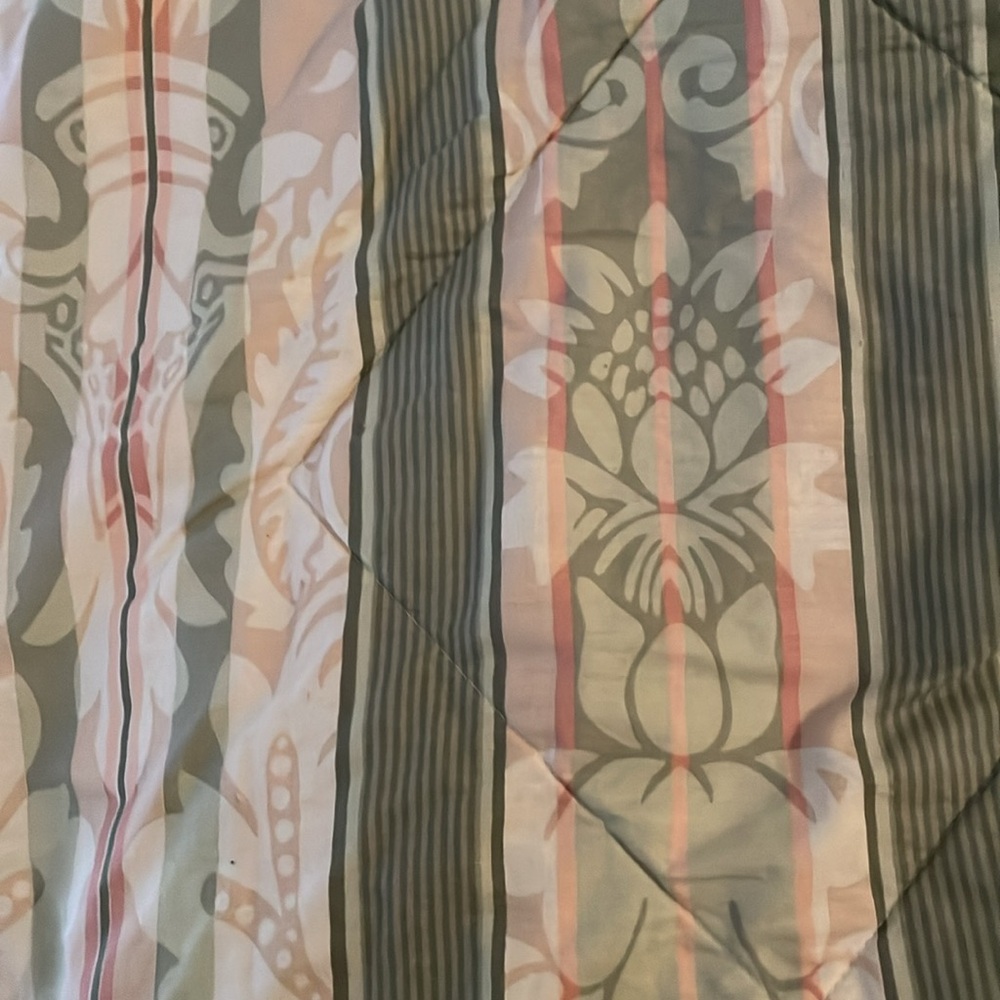 Queen Sage Coral Stripe Damask Cotton Washable Comforter with Piping at Hem